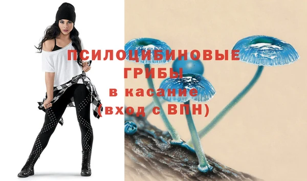 сатива Балахна