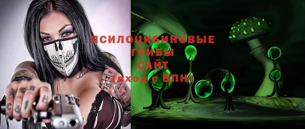 сатива Балахна