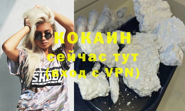 сатива Балахна