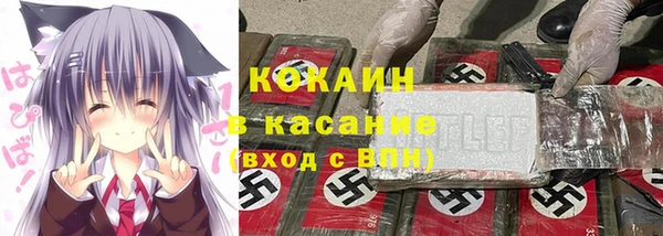 сатива Балахна
