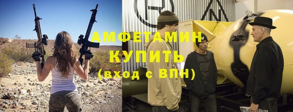 сатива Балахна
