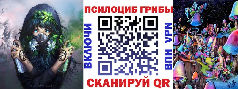 MEGA tor  закладка  Городище  Псилоцибиновые грибы GOLDEN TEACHER 